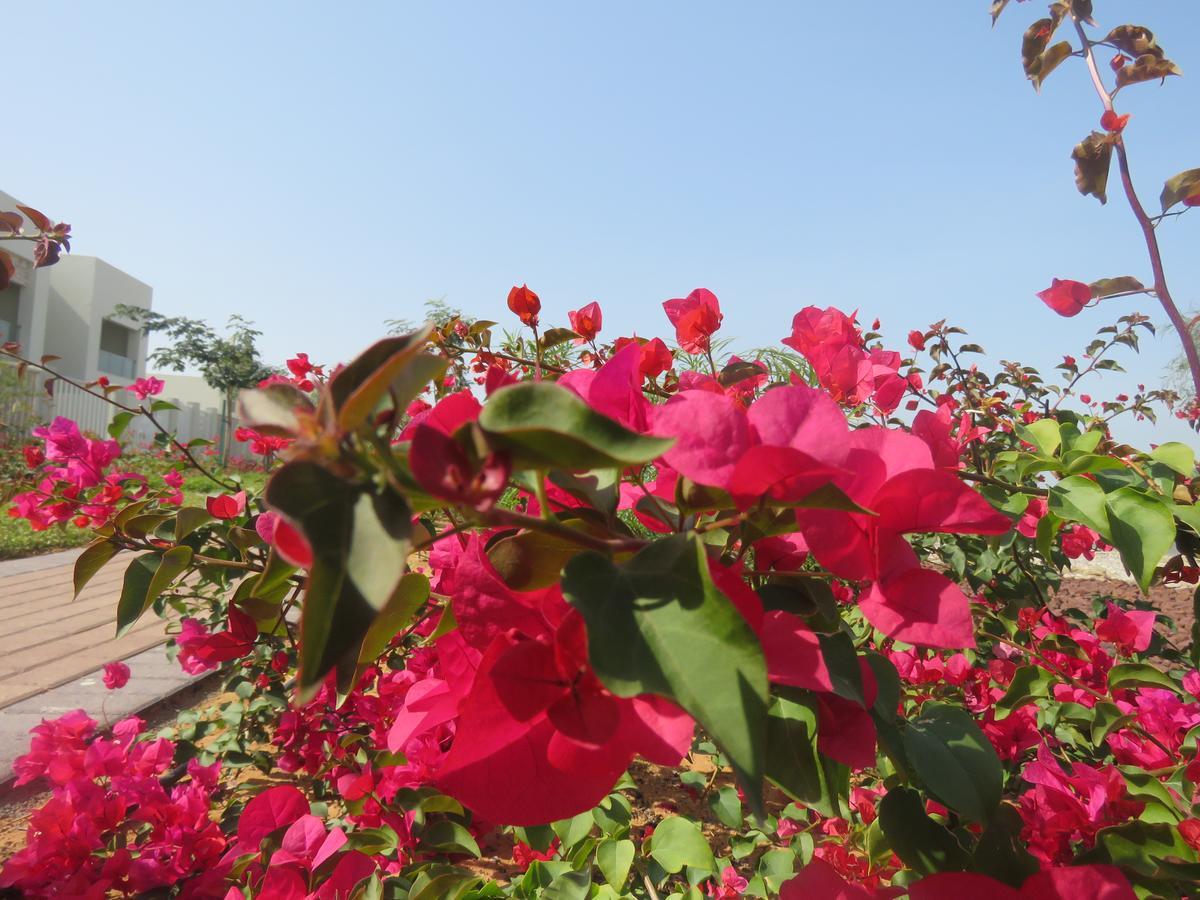 Bermuda Villas Holiday Home Ras al-Khaimah Rom bilde